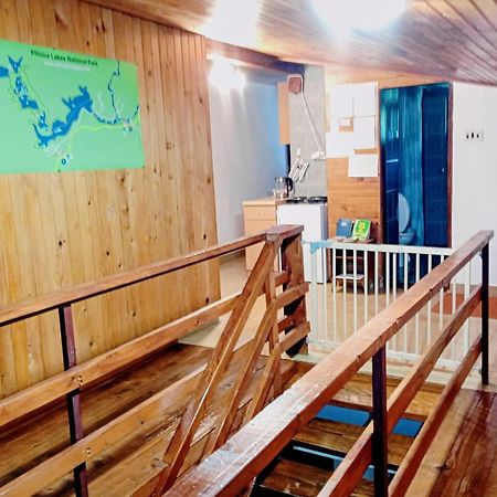 House Oliver Lägenhet Grabovac  Exteriör bild